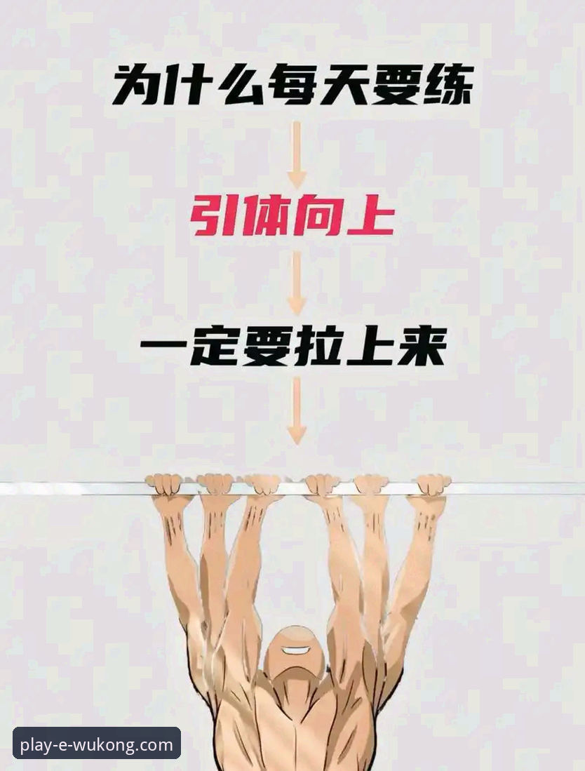 悟空体育使用教程怎么样 悟空体育使用教程怎么样:从新手到达人的完整指南